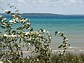 Western Michigan [2010] 558